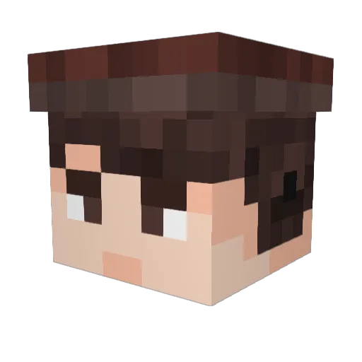 NightHawk22670 Minecraft avatar head, 3D render