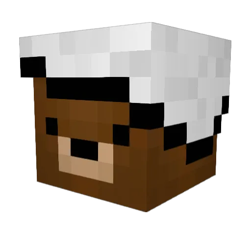 NightHawk534764 Minecraft avatar head, 3D render