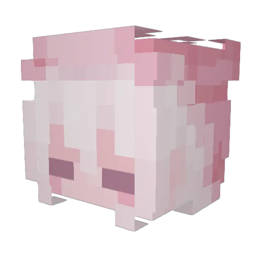 NightHunter19 Minecraft avatar head, 3D render