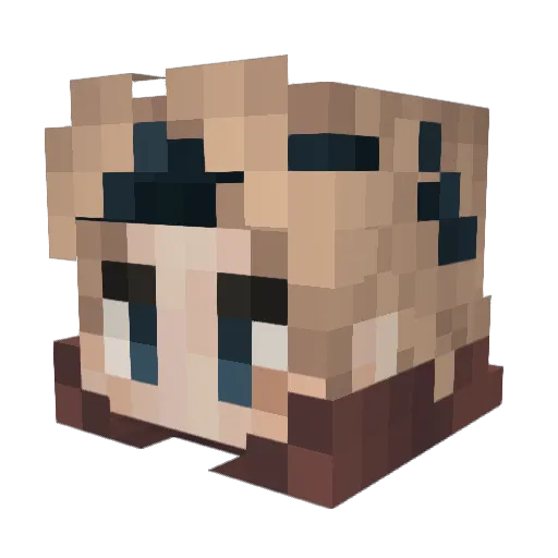 NightJar17 Minecraft avatar head, 3D render