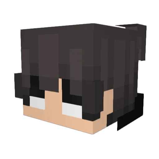 NightKing377 Minecraft avatar head, 3D render