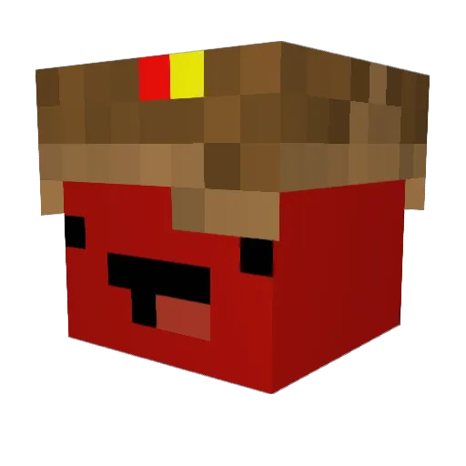 NightLearner332 Minecraft avatar head, 3D render