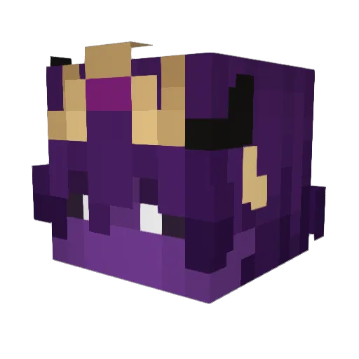 NightLightflyer Minecraft avatar head, 3D render