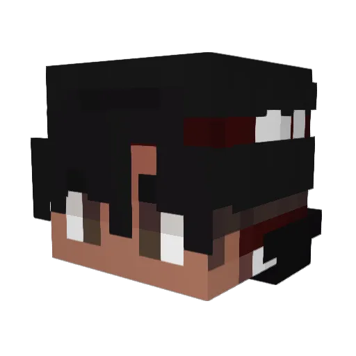 NightLyfe17 Minecraft avatar head, 3D render