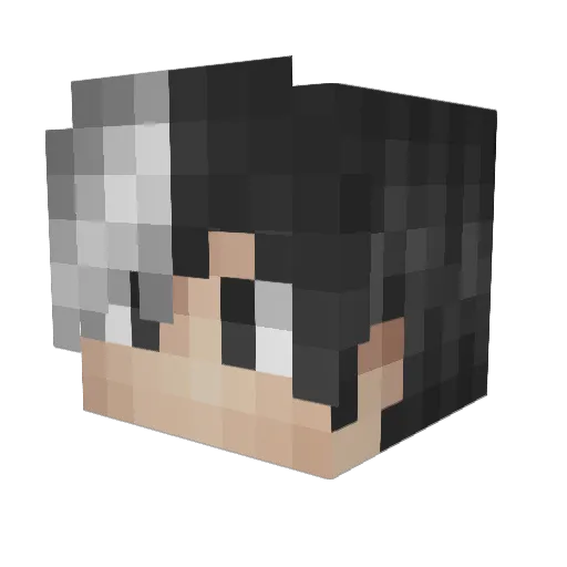 NightMareN2Ge Minecraft avatar head, 3D render