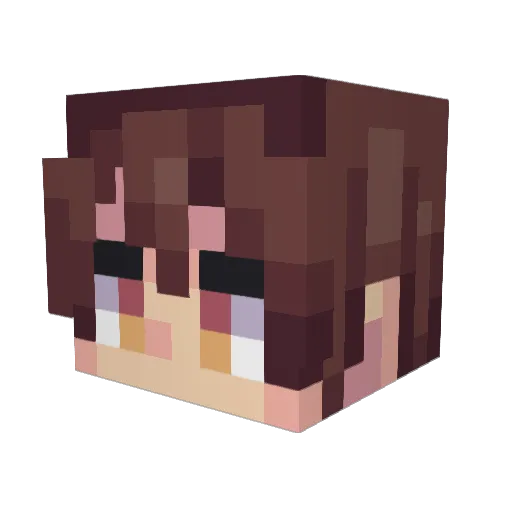 NightOfArrows Minecraft avatar head, 3D render