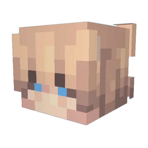 NightPantherr Minecraft avatar head, 3D render