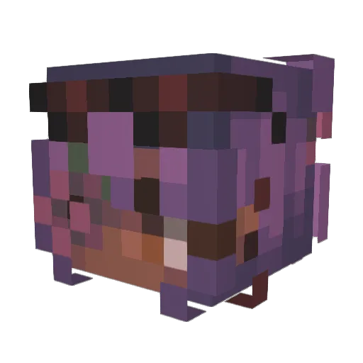 NightPhoenix002 Minecraft avatar head, 3D render