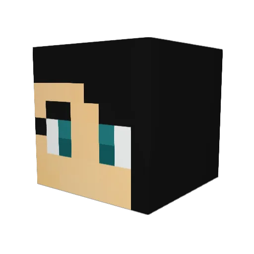 NightPyper Minecraft avatar head, 3D render