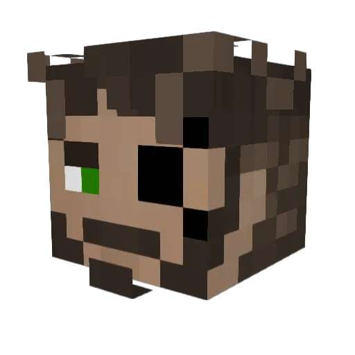NightRaven250 Minecraft avatar head, 3D render