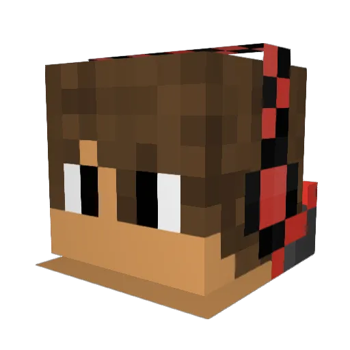 NightRider7534 Minecraft avatar head, 3D render