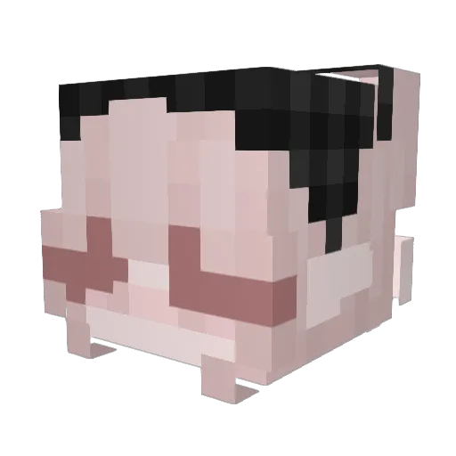 NightSashii Minecraft avatar head, 3D render