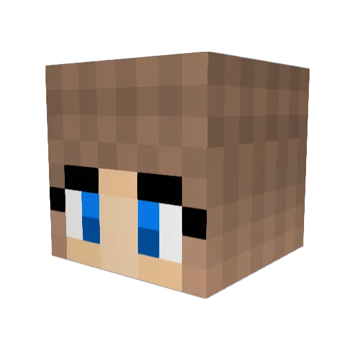 NightShade019 Minecraft avatar head, 3D render