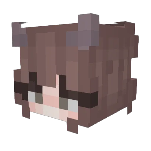 NightShade10169 Minecraft avatar head, 3D render