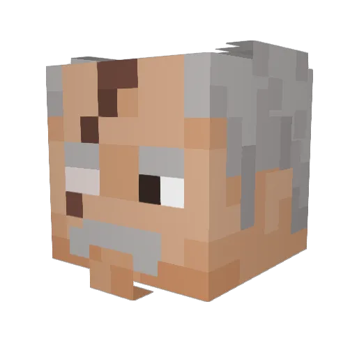 NightShade14 Minecraft avatar head, 3D render