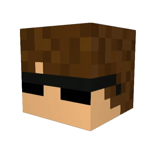 NightShade200 Minecraft avatar head, 3D render
