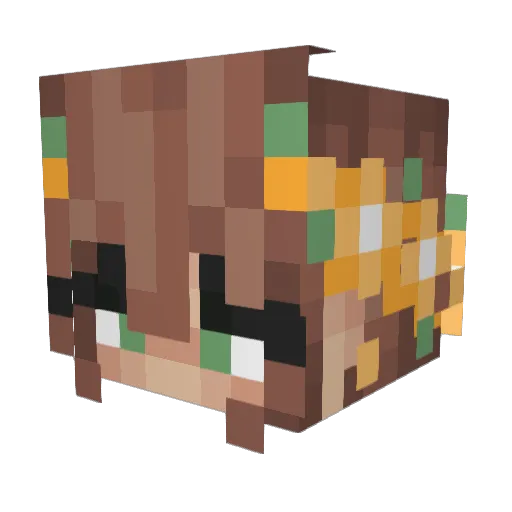 NightShadeFoxNSF Minecraft avatar head, 3D render