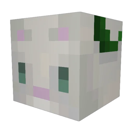 NightShadow6432 Minecraft avatar head, 3D render