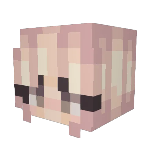 NightSkyy Minecraft avatar head, 3D render