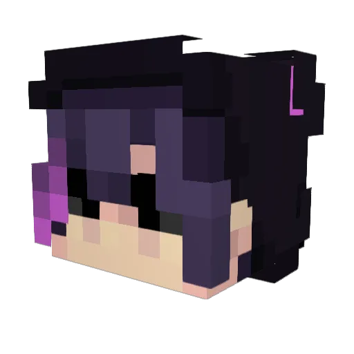 NightSlicer69 Minecraft avatar head, 3D render