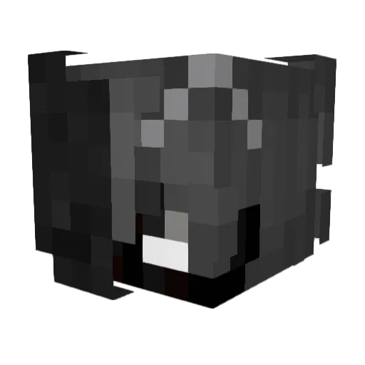 NightStalker728 Minecraft avatar head, 3D render