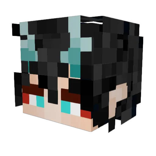 NightStars123 Minecraft avatar head, 3D render