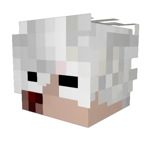 NightSuns Minecraft avatar head, 3D render