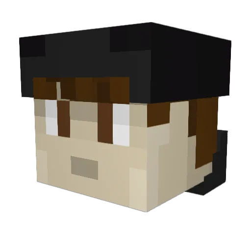 NightTechMc Minecraft avatar head, 3D render