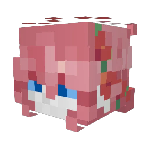 NightTimeWalker Minecraft avatar head, 3D render