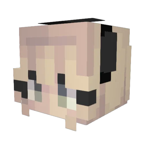 NightWolf6583 Minecraft avatar head, 3D render