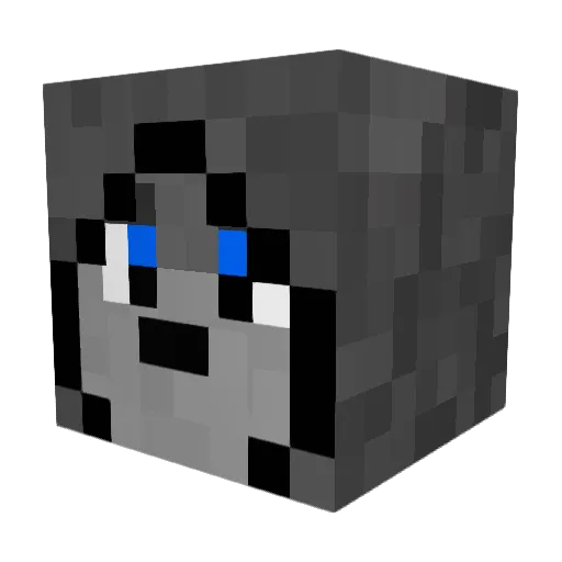 NightWolf8 Minecraft avatar head, 3D render
