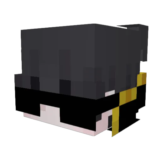 Night_7777 Minecraft avatar head, 3D render