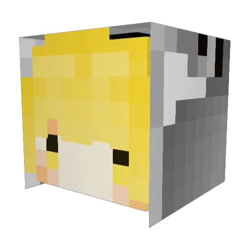 Night_AN Minecraft avatar head, 3D render