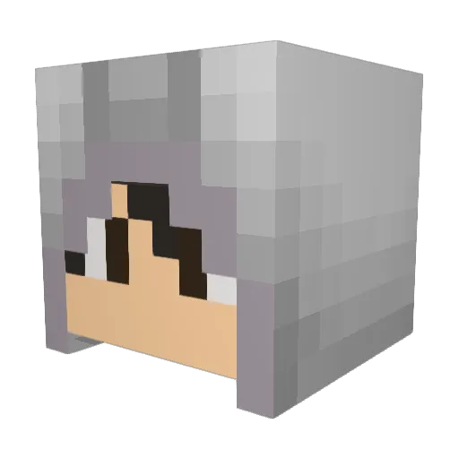 Night_Assassin10 Minecraft avatar head, 3D render