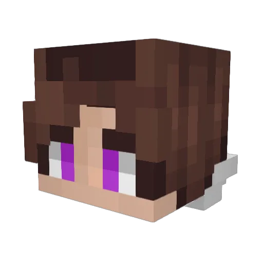 Night_Fury99 Minecraft avatar head, 3D render