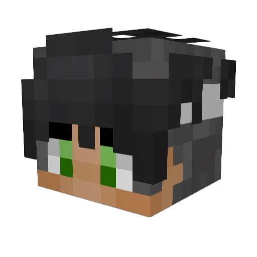 Night_Gamers Minecraft avatar head, 3D render