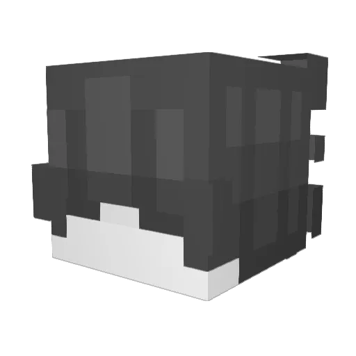 Night_Idk Minecraft avatar head, 3D render