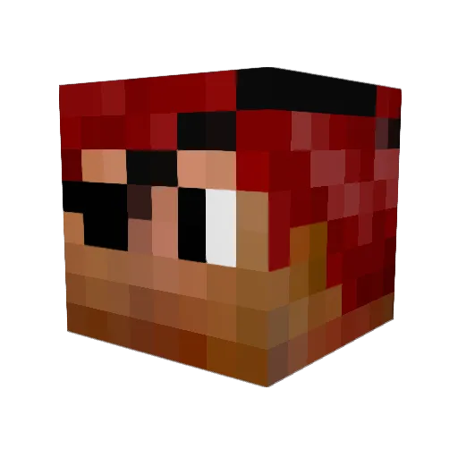 Night_Lights Minecraft avatar head, 3D render