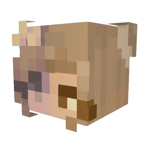 Night_Museum Minecraft avatar head, 3D render