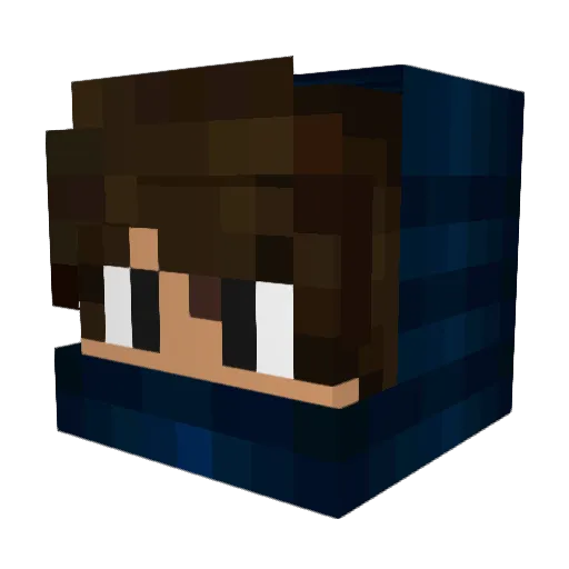 Night_Shade3 Minecraft avatar head, 3D render