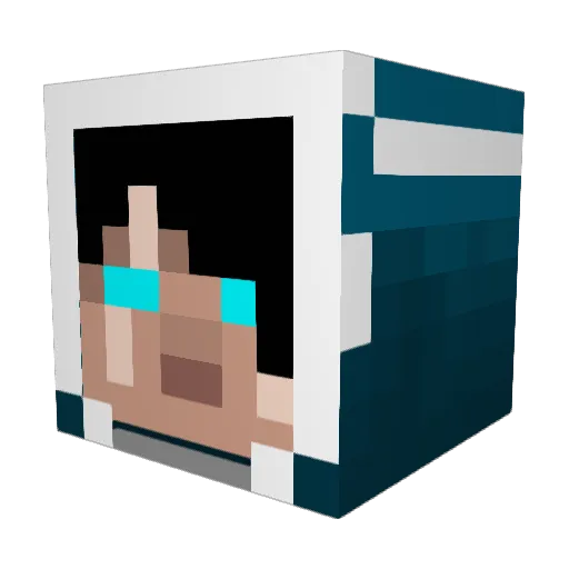 Night_Waves Minecraft avatar head, 3D render