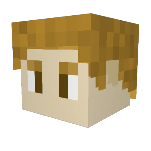 Night___Knight Minecraft avatar head, 3D render