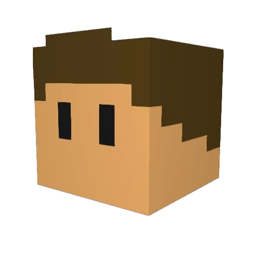 Night_ly Minecraft avatar head, 3D render