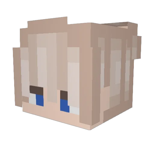 Night_mare711 Minecraft avatar head, 3D render