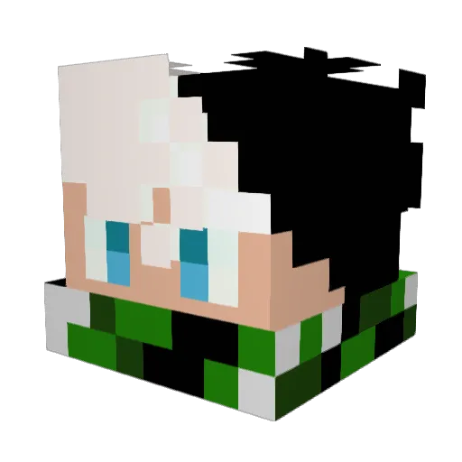 Night_sky44 Minecraft avatar head, 3D render