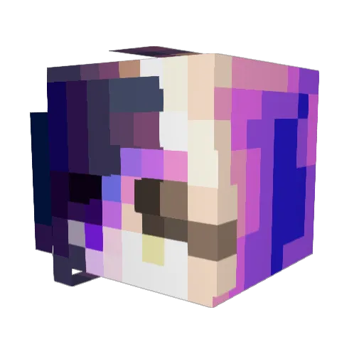 Nightdragon135 Minecraft avatar head, 3D render