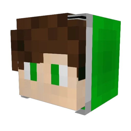 Nightelion Minecraft avatar head, 3D render
