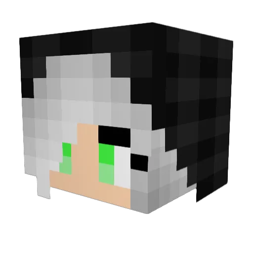 Nightengale29 Minecraft avatar head, 3D render