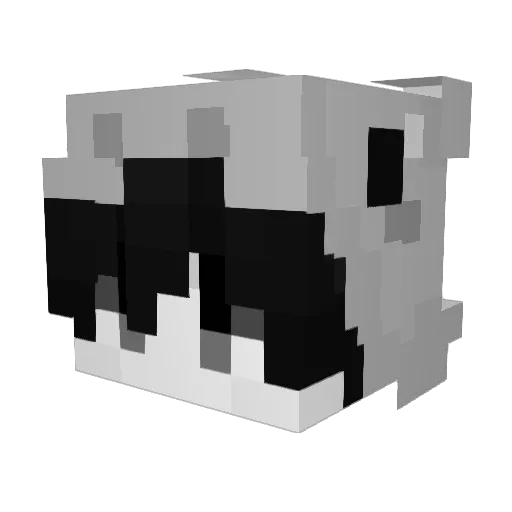 Nightfallzzz Minecraft avatar head, 3D render