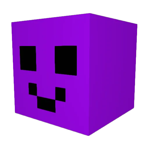 Nightfox1207 Minecraft avatar head, 3D render
